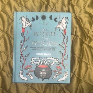 The Witch of the Woods Book by Kiley Mann - Blue Cover